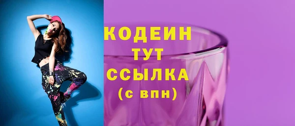 мдпв Переславль-Залесский