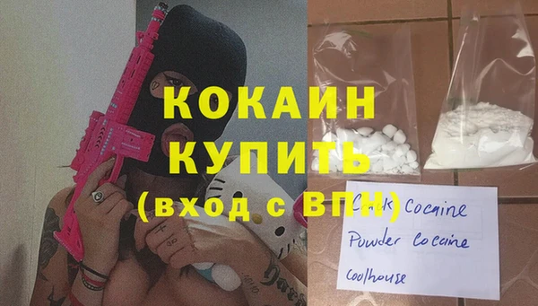 молекула духа Пестово
