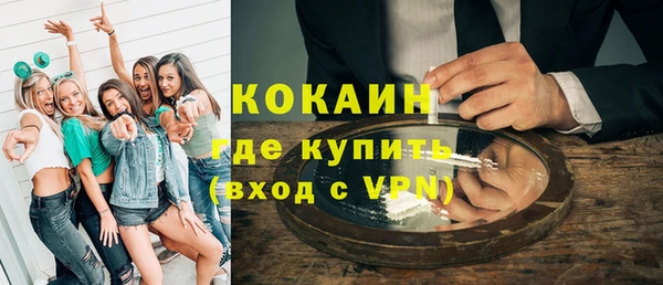 молекула духа Пестово