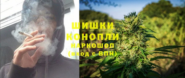 молекула духа Пестово