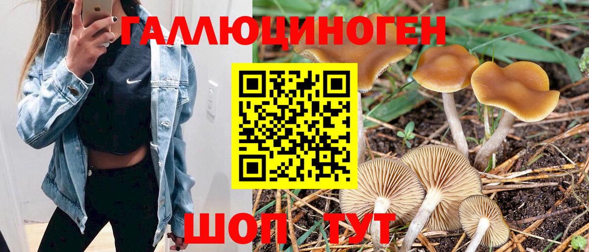Галлюциногенные грибы мухоморы  Галлюциногенные грибы GOLDEN TEACHER  Кинель  Вход с VPN 