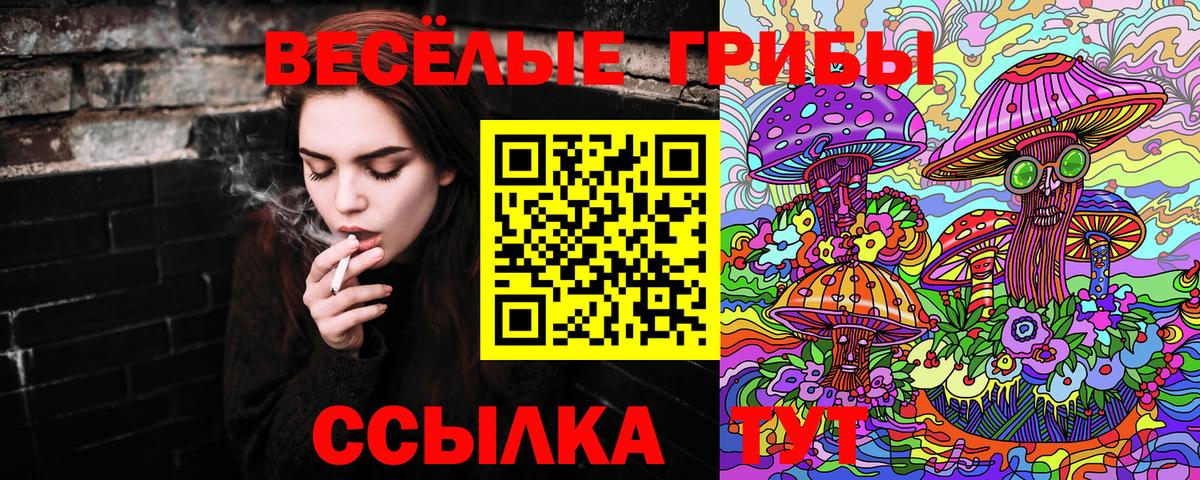 Галлюциногенные грибы MAGIC MUSHROOMS Кинель