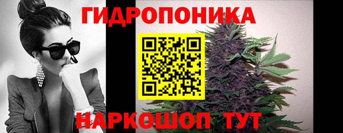 Шишки марихуана сатива Кинель